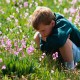 boy in field stares at flowers