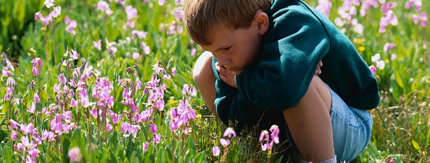 boy in field stares at flowers