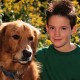 boy and dog
