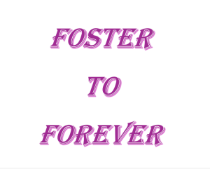 Foster to Forever