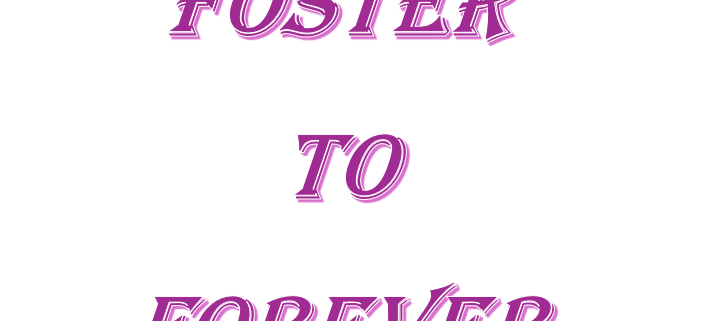 Foster to Forever