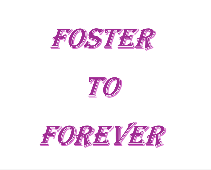 Online | Foster to Forever Support Group: Parenting Sexualized Children