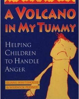 A Volcano In My Tummy book cover