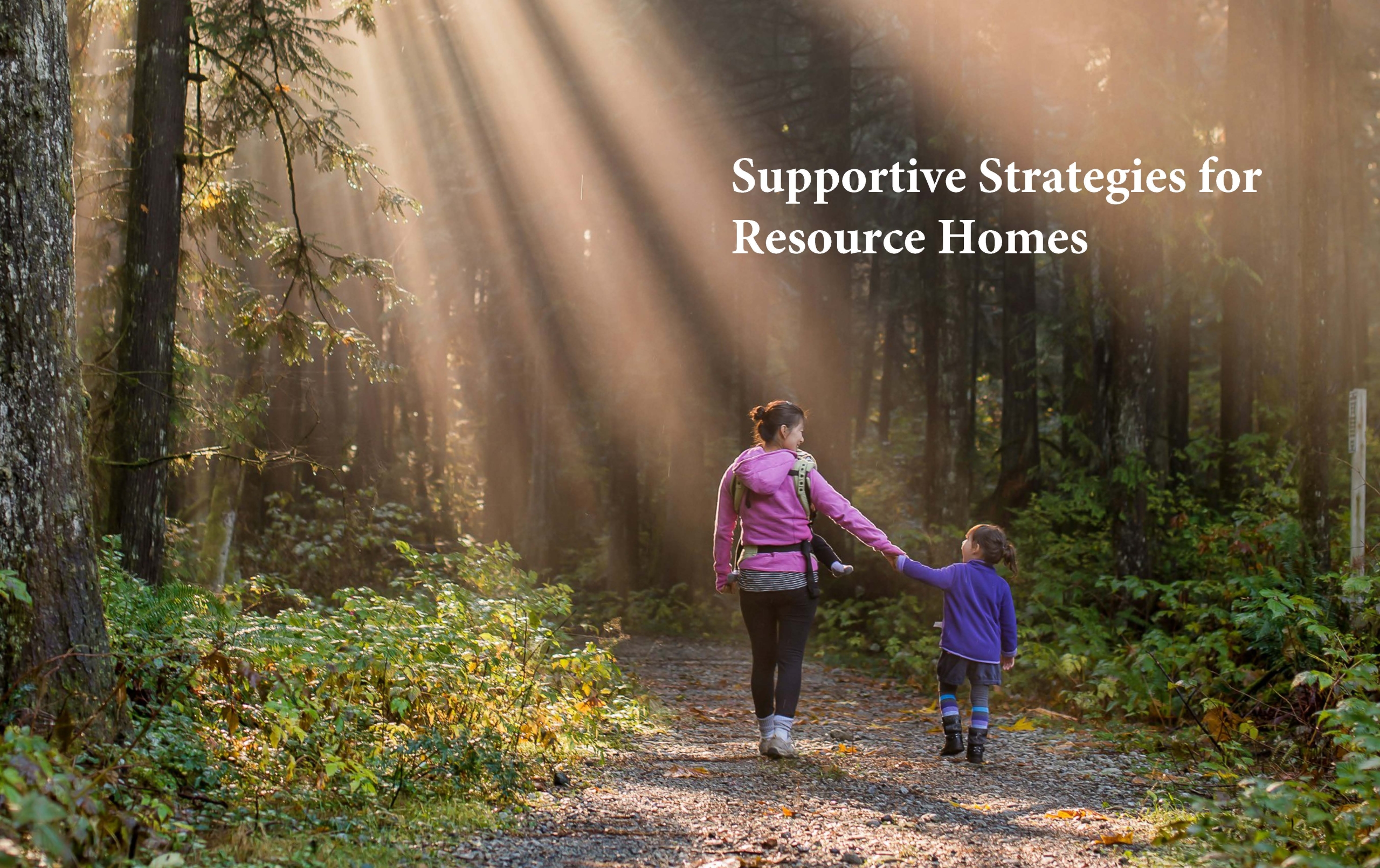 Online | Supportive Strategies for Resource Homes- Training & Support: