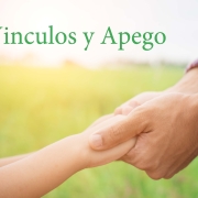 En Linea | Vinculos y Apego- Formación y apoyo: Encontrar Alegría en el Cuidado de Crianza