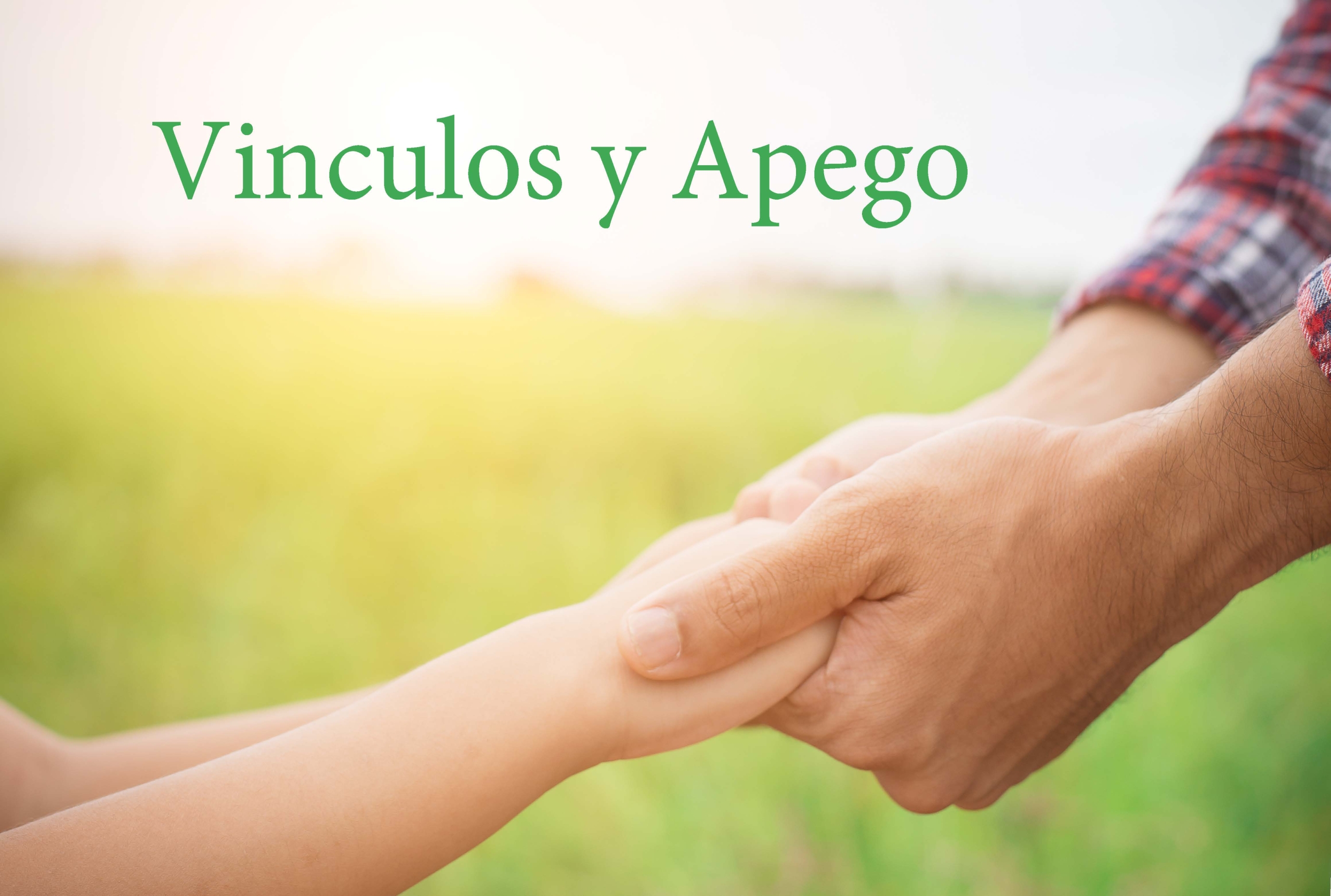 En Linea | Vinculos y Apego- Formación y apoyo: Encontrar Alegría en el Cuidado de Crianza