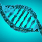 In-Person | North County Foster Parent Association (NCFPA) Support Group: Epigenetics: What is it and why it Matters