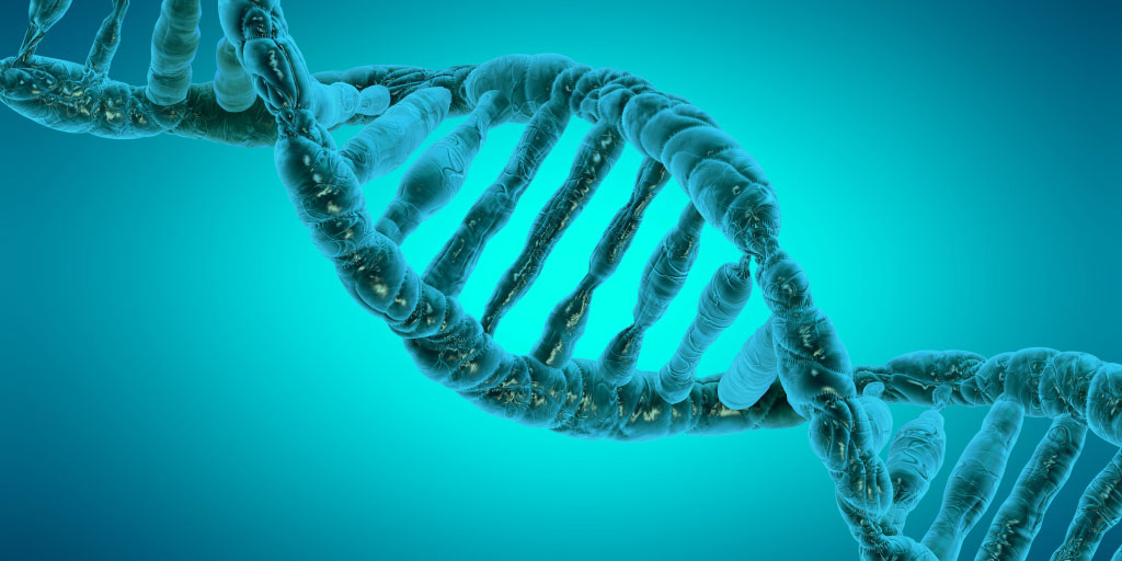 Online | NEST (Nurturing Evaluation Stabilization Team) Support Group-Epigenetics: What is it and why it Matters