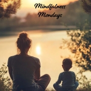 Online | Mindfulness Mondays- Training & Support: