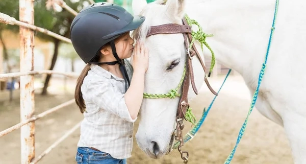 Young girl kisses white horse on the forehead