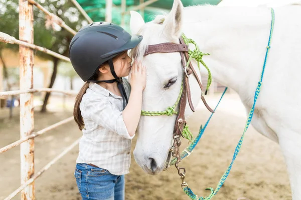 Online | Healing with Horses